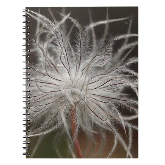 Foto Notebook (80 Seiten B&W) Notizblock (Vorderseite)