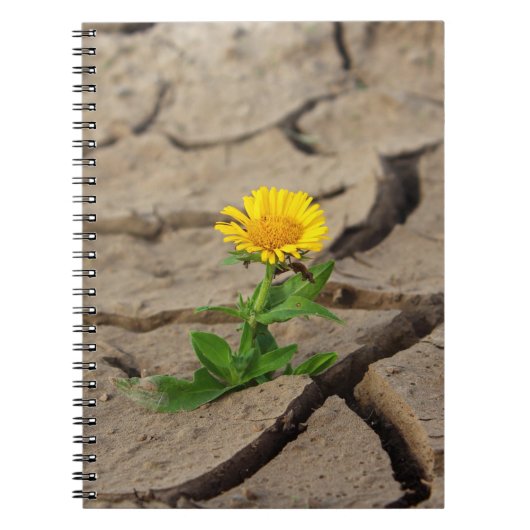 Foto Notebook (80 Seiten B&W) Notizblock (Vorderseite)