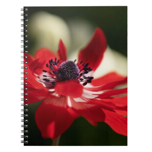 Foto Notebook (80 Seiten B&W) Notizblock (Vorderseite)