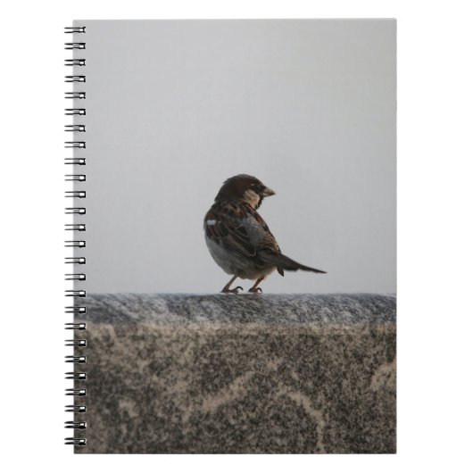 Foto Notebook (80 Seiten B&W) Notizblock (Vorderseite)