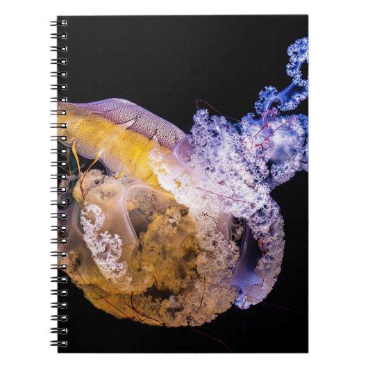 Foto Notebook (80 Seiten B&W) Notizblock (Vorderseite)