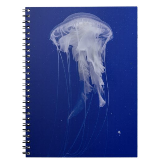 Foto Notebook (80 Seiten B&W) Notizblock (Vorderseite)