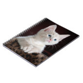 Foto Notebook (80 Seiten B&W) Notizblock (Linke Seite)