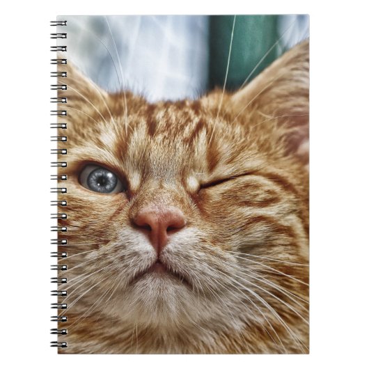 Foto Notebook (80 Seiten B&W) Notizblock (Vorderseite)