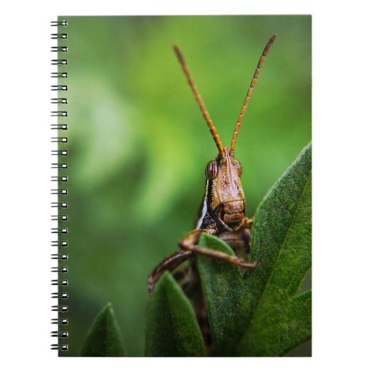 Foto Notebook (80 Seiten B&W) Notizblock (Vorderseite)