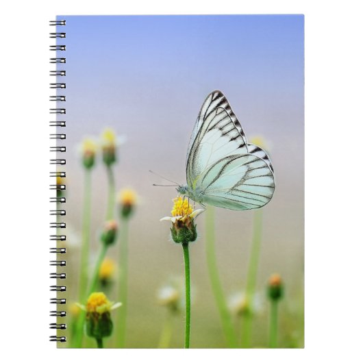 Foto Notebook (80 Seiten B&W) Notizblock (Vorderseite)