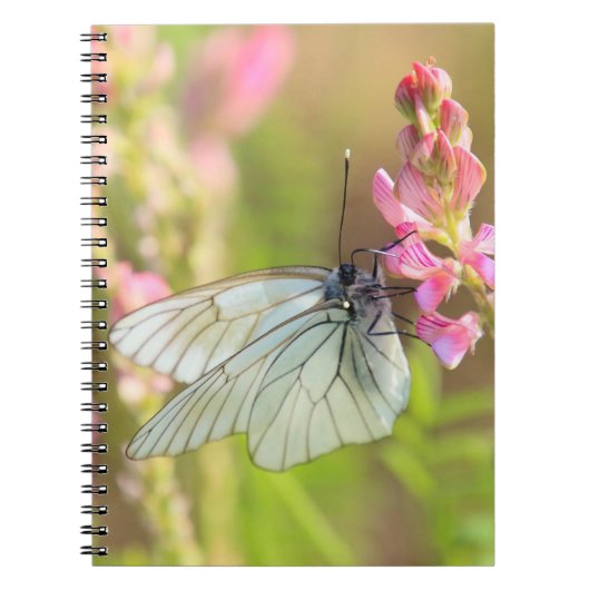 Foto Notebook (80 Seiten B&W) Notizblock (Vorderseite)