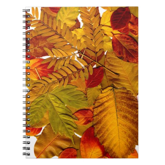 Foto Notebook (80 Seiten B&W) Notizblock (Vorderseite)