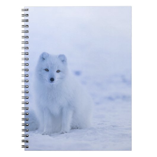 Foto Notebook (80 Seiten B&W) Notizblock (Vorderseite)