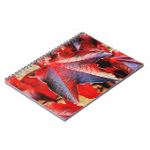 Foto Notebook (80 Seiten B&W) Notizblock (Linke Seite)