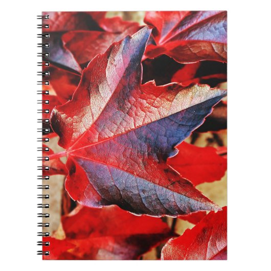Foto Notebook (80 Seiten B&W) Notizblock (Vorderseite)