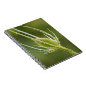 Foto Notebook (80 Seiten B&W) Notizblock (Rechte Seite)