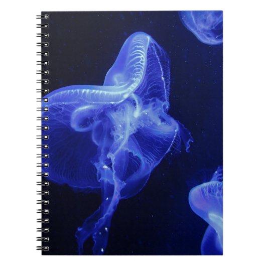 Foto Notebook (80 Seiten B&W) Notizblock (Vorderseite)