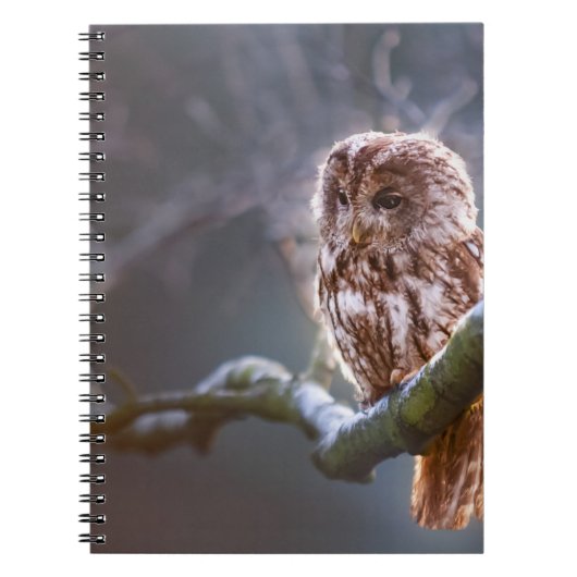 Foto Notebook (80 Seiten B&W) Notizblock (Vorderseite)