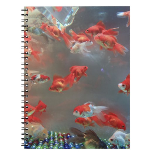 Foto Notebook (80 Seiten B&W) Notizblock (Vorderseite)