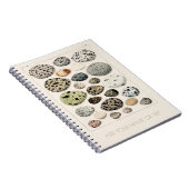 FOTO NOTEBOOK : VINTAGE GEBURTE EIGENSCHAFT NOTIZBLOCK (Rechte Seite)