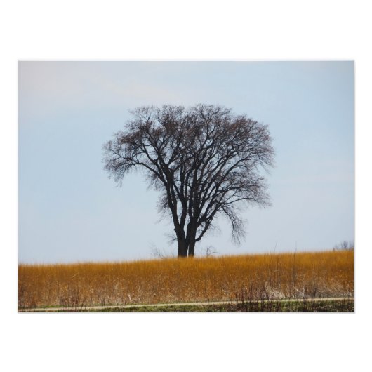 Foto "Nurtured in Bloodshed" (Vorne)