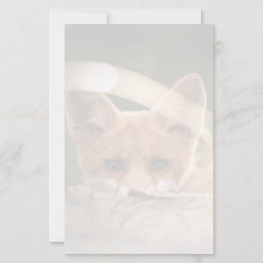 Foto of a Cute Little Orange Fox (Vorderseite)