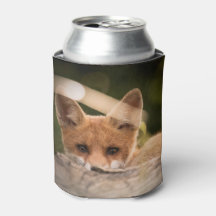 Foto of a Cute Little Orange Fox