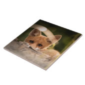 Foto of a Cute Little Orange Fox Fliese (Seite)