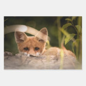 Foto of a Cute Little Orange Fox Geschenkpapier Set (Vorderseite)