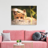 Foto of a Cute Little Orange Fox Leinwanddruck (Insitu (Wohnzimmer))