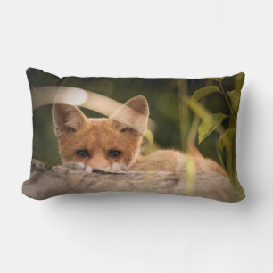 Foto of a Cute Little Orange Fox Lendenkissen