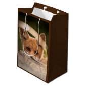 Foto of a Cute Little Orange Fox Mittlere Geschenktüte (Rückseite Schrägansicht)