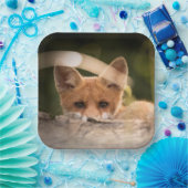 Foto of a Cute Little Orange Fox Pappteller (Party)