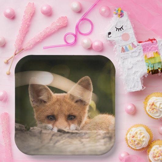 Foto of a Cute Little Orange Fox Pappteller (Party)