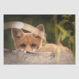 Foto of a Cute Little Orange Fox Seidenpapier
