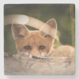 Foto of a Cute Little Orange Fox Steinuntersetzer