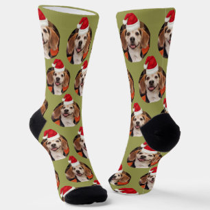 Foto Olivenöl Grün Weihnachtsmannmützen Weihnachte Socken