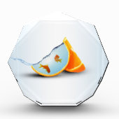 Foto Orange & Red Fish (Vorderseite)