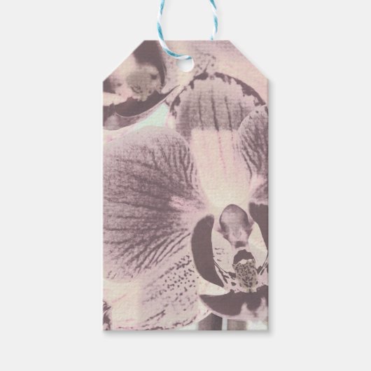 Foto , Orchid , Retro Geschenkanhänger (Vorderseite)