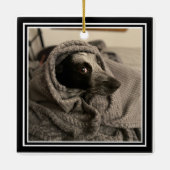 Foto Ornament gesegnet mit Mistletoe HAMbyWG (Rückseite)