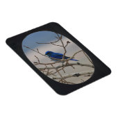 Foto Oval Frame hinzufügen (schwarz) Magnet (Rechte Seite)