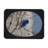 Foto Oval Frame hinzufügen (schwarz) Magnet (Horizontal)