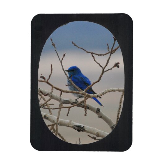 Foto Oval Frame hinzufügen (schwarz) Magnet (Vertikal)