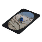 Foto Oval Frame hinzufügen (schwarz) Magnet (Linke Seite)