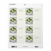 Foto-Overlay-Box-Versandmarke (Vorne)