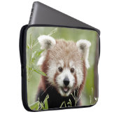 Foto Panda , Tiere Laptop Hüllen . Laptopschutzhülle (Vorne Rechts)