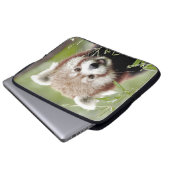 Foto Panda , Tiere Laptop Hüllen . Laptopschutzhülle (Vorne Knopf)