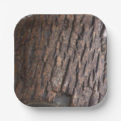 Foto  Paper-Teller Pappteller (Vorderseite)