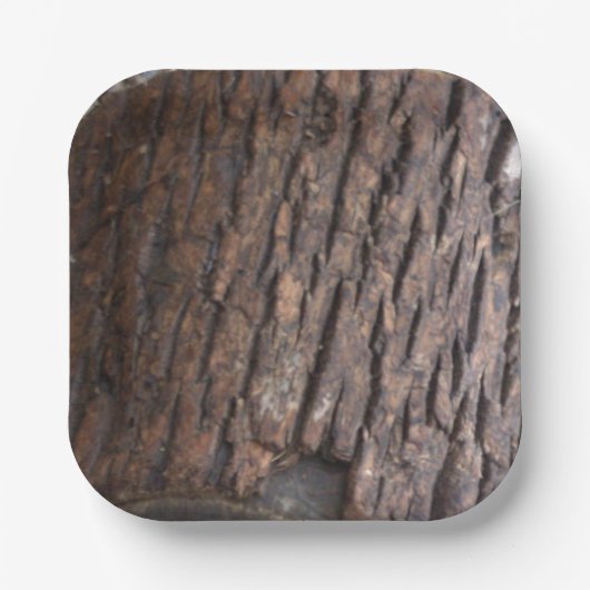 Foto  Paper-Teller Pappteller (Vorderseite)