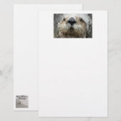 Foto-Papier für Seeschwalbe Briefpapier (Vorne/Hinten)