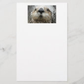 Foto-Papier für Seeschwalbe Briefpapier (Vorderseite)