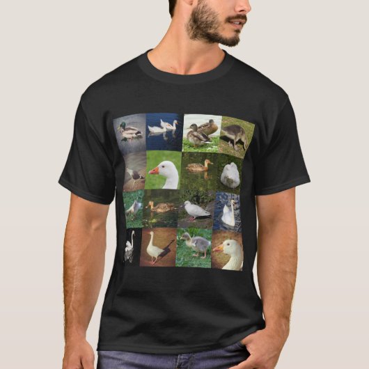 Foto Patchwork Square - Vögel T-Shirt (Vorderseite)