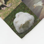 Foto Patchwork - Vögel Fleecedecke (Ecke)