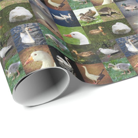 Foto Patchwork - Vögel Geschenkpapier (Rolleneckpunkt)